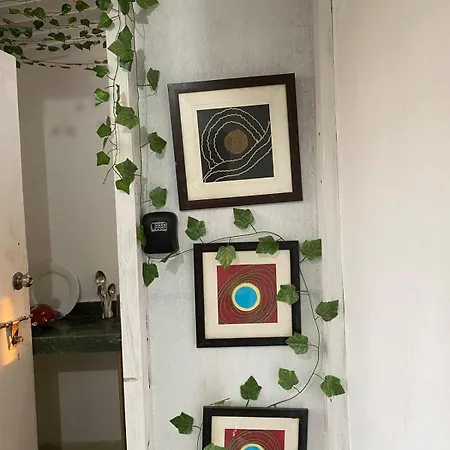 Pixiestays Forest House Juhu West Mumbai