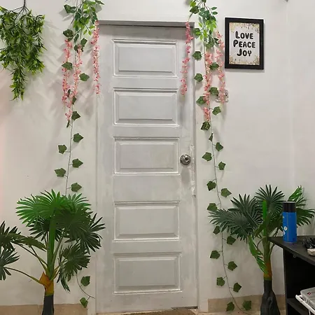 Pixiestays Forest House Juhu West Apartment Mumbai