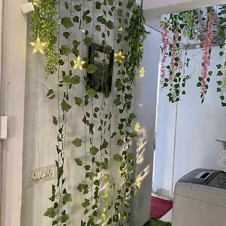 Apartment Pixiestays Forest House Juhu West Mumbai