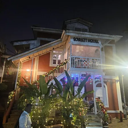 The Pali Nest A Peaceful Retreat In Pali, Bandra Mumbai