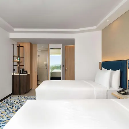 Hotel Hilton Garden International Airport