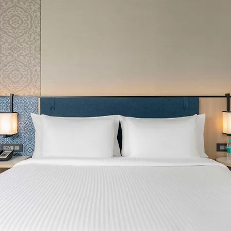 Hilton Garden International Airport Hotel