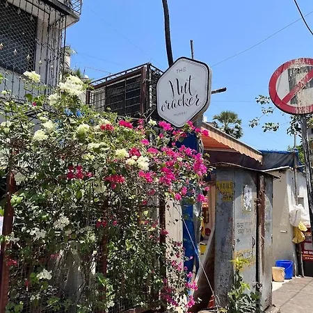 Apartment Hidden Gem With Pvt Terrace Bandra Mumbai