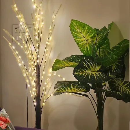Bandra Bloom- Spacious1bhk Near Lilavati&bandstand Apartment Mumbai