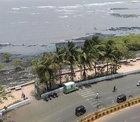 Dom Lucia 201 Quiet And Cozy 1 Bhk Bandra Ocean Side Wifi * Mumbai