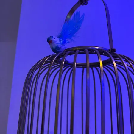 Ivy Splendour Blu Private Studio, Oshiwara, Apartment Mumbai