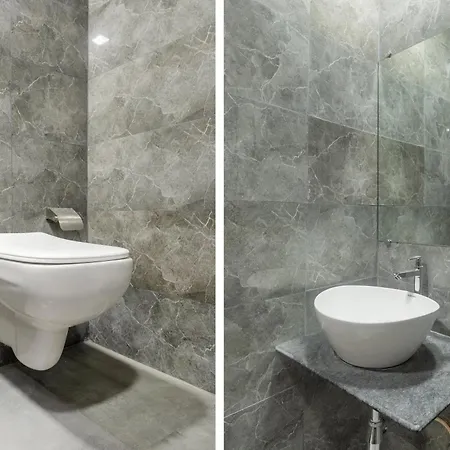 Blue Executive Near Chhatrapati Shivaji International Airport Hotel 3*