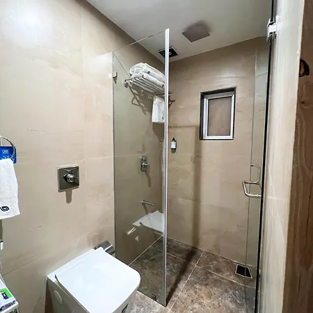 Widlor Boutique Hotel, Andheri East, Hotel 4*