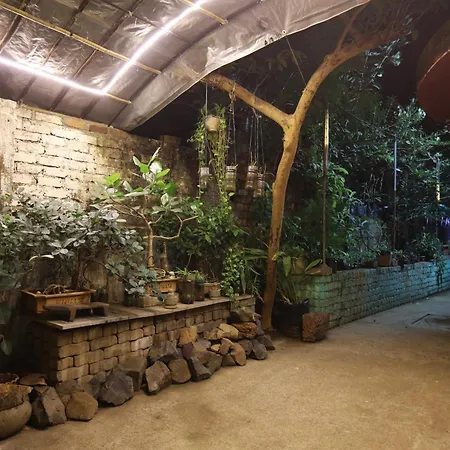 Sasha Mumbai