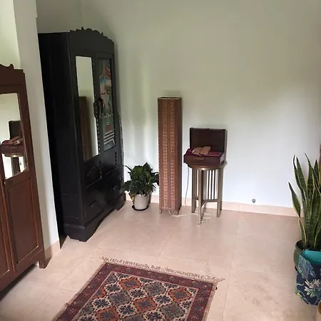 Apartment Serene In Chuim Near Carter Road *
