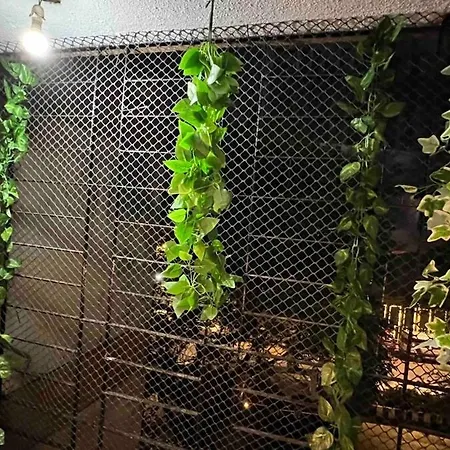 Entire Flat In Andheri West #08 Mumbai