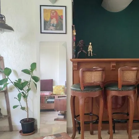 Sunny Side Treehouse Entire Apartment Apartment