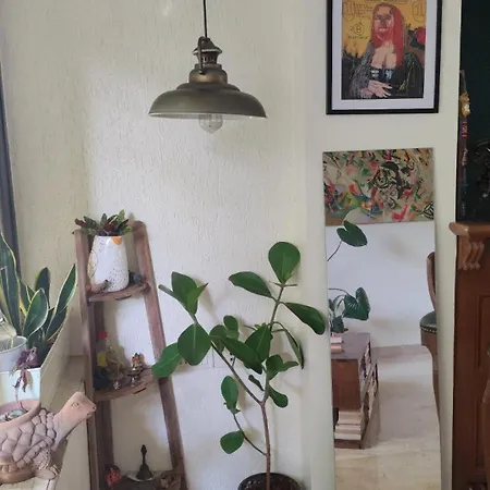 Sunny Side Treehouse Entire Apartment