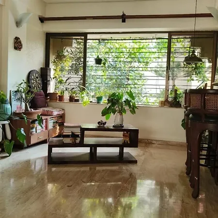 Sunny Side Treehouse Entire Apartment *