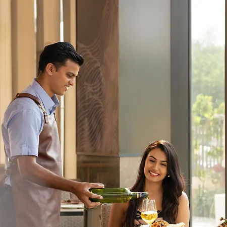 Hilton Garden International Airport Hotel