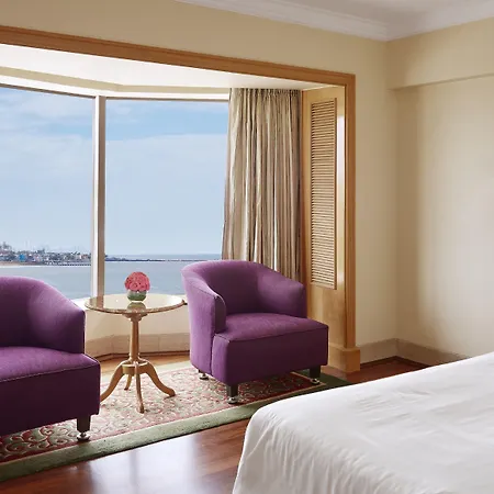 Hotel Ramada Plaza By Wyndham Palm Grove