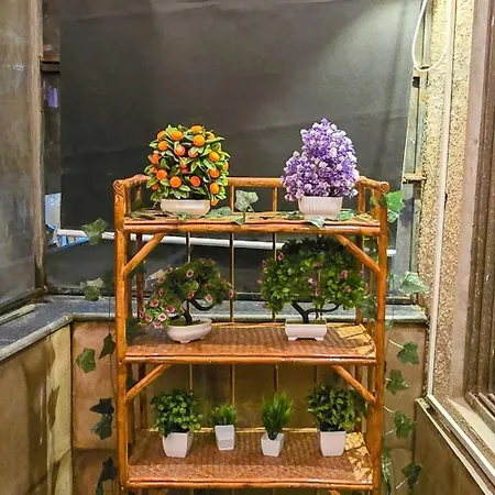 Apartment Flat Near Airport & Metro *