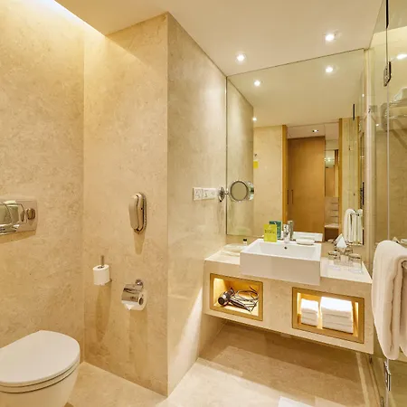 Hotel International Airport By Ihg