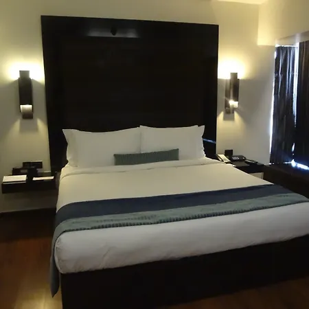Hotel Svenska Design Andheri 5*