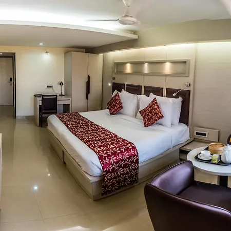Hotel Oriental Aster - International Airport 4*