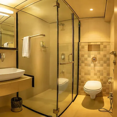 Hotel Oriental Aster - International Airport 4*