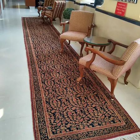 Elphinstone Hotel 3*