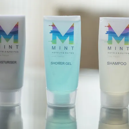 Mint Domestic Airport