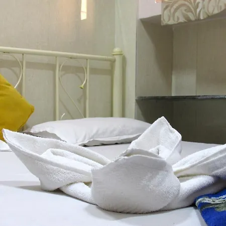 Inn Traveller's - *