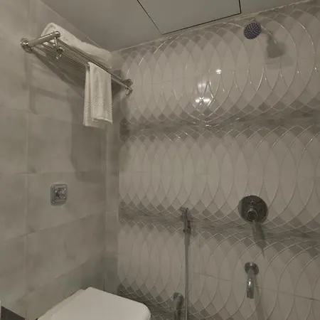 Hotel Residency Park Near Masjid Rly Station South 3*