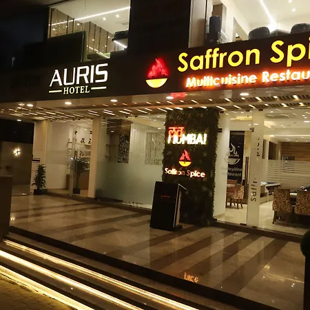 Auris & Banquets, International Airport Hotel