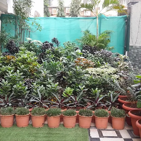 Gobinddhham 3* Mumbai