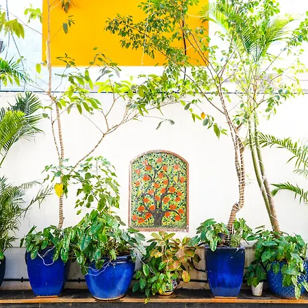 Hotel Bloom Boutique L Bandra 3*