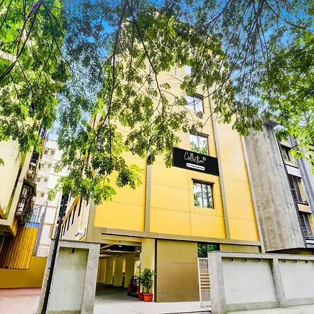 Super Collection O Kalamboli New Panvel Formerly Golden Paradise Mumbai