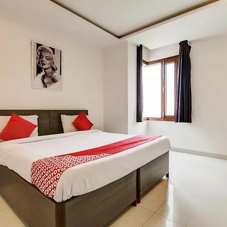 Hotel Collection O Jayshree Domestic Airport 3*
