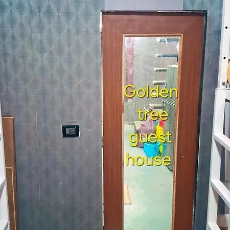 Hostel Golden Tree