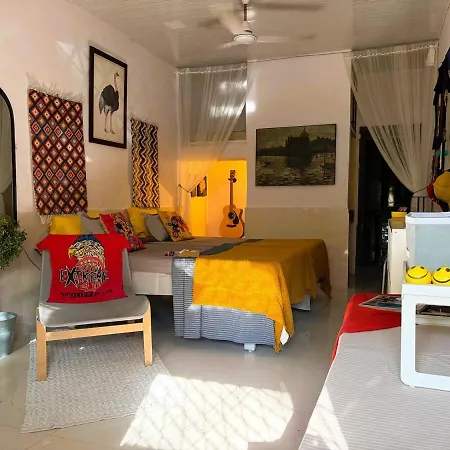 Sun Bloom Apartment