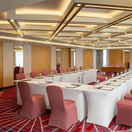 Hotel Hilton Garden International Airport 4*