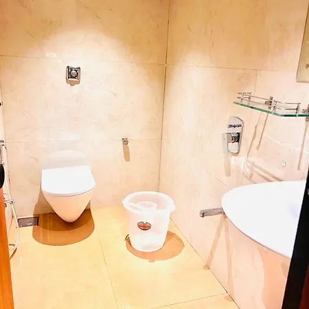 Apsara - Nearj J Hospital 3* Mumbai