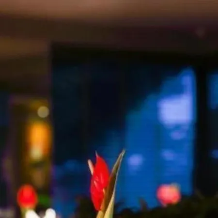 Hotel The Grandeur Boutique *