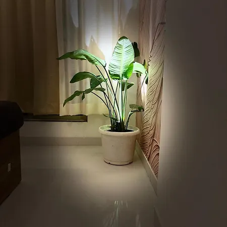 Apartment Royce Executive Service Premium Mumbai