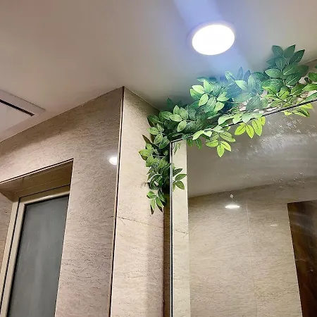 Maple 1 Bhk In Hiranandani Powai Apartment *