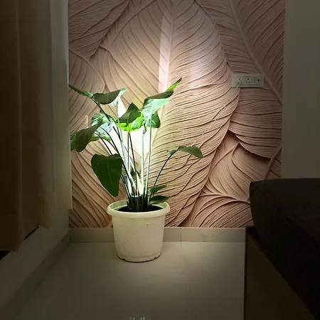 Apartment Royce Executive Service Premium Mumbai