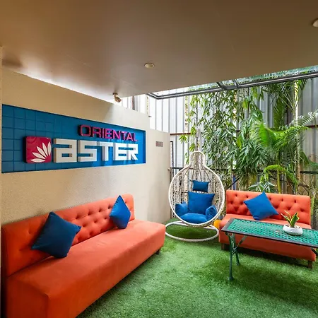 Oriental Aster - International Airport Hotel 4*