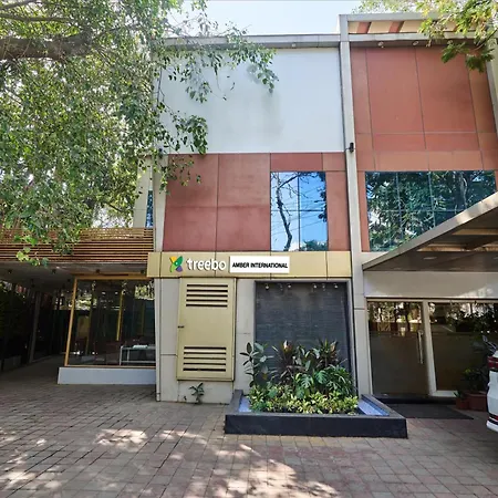 Treebo Amber International Airport T2 Hotel 3*