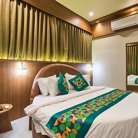 Hotel Treebo Amber International Airport T2 3*