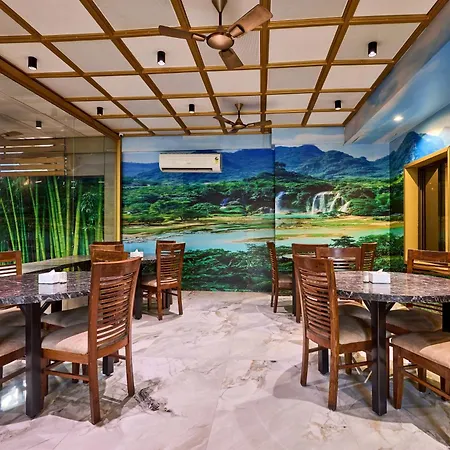 Hotel Treebo Amber International Airport T2 3*