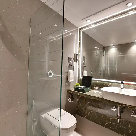Suba Palace Near Gateway Of India Hotel 4*