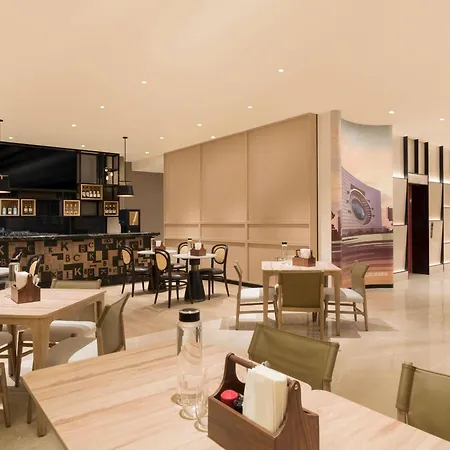 Ibis Bkc