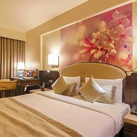 Sai Palace Grand Malad Hotel 4*