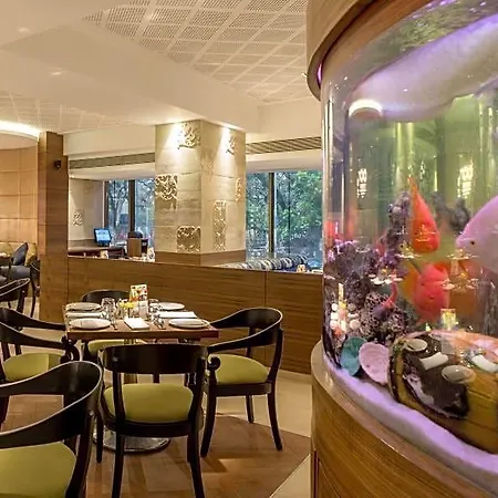 Hotel The International By Tunga 3*